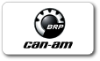 Каталоги оригинальных автозапчастей Can-am atvs